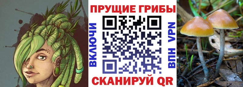 Псилоцибиновые грибы мухоморы  ссылка на мегу зеркало  Белоусово 